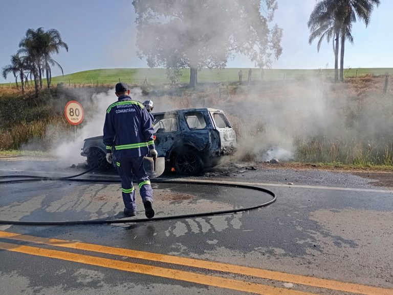 Veículo é consumido por incêndio na PR-092, em Arapoti
