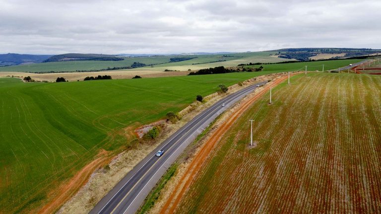 Prazo para regularização de áreas de plantio nas margens de rodovias sob concessão da EPR Litoral Pioneiro vai até 22 de agosto